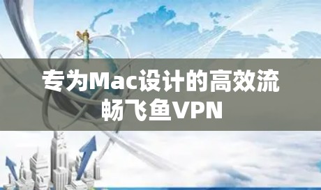 专为Mac设计的高效流畅飞鱼VPN