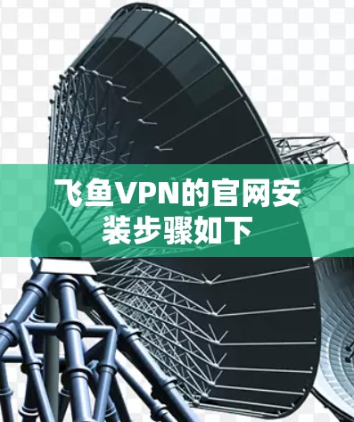 飞鱼VPN的官网安装步骤如下 飞鱼VPN的官网安装步骤如下
