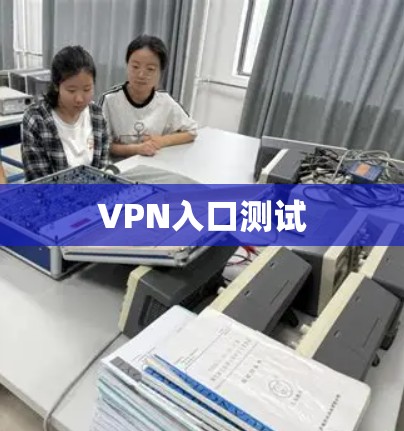 VPN入口测试