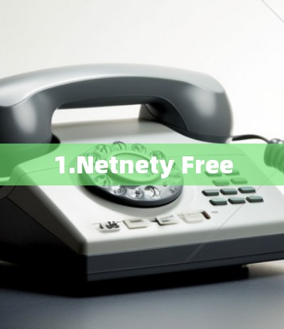 1.Netnety Free