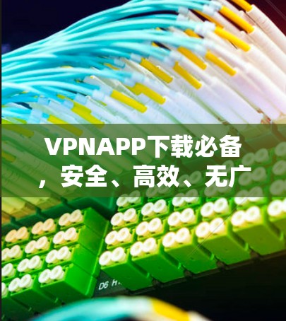 VPNAPP下载必备,安全、高效、无广告