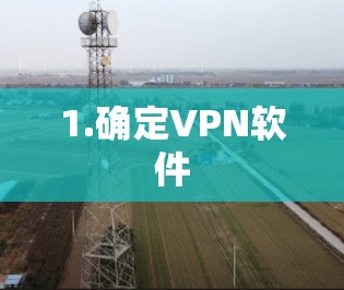 1.确定VPN软件