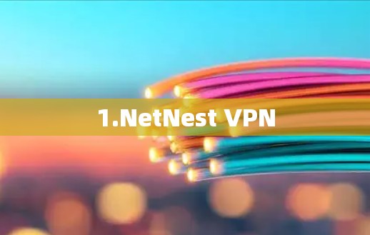 1.NetNest VPN 1.NetNest VPN